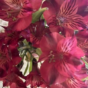 Meet your Posher, Judith